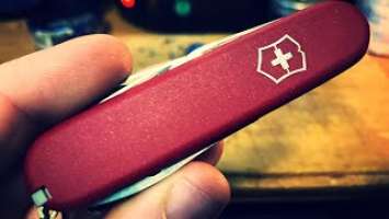 Victorinox Sportsman 2. Best SAK in the Northern Hemisphere