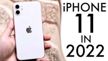 iPhone 11 In 2022! (Still Worth It?) (Review)