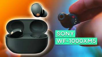THESE are Sony's LATEST EARBUDS! - Sony WF-1000XM5 Rumors
