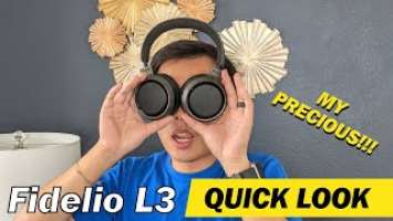 How does Fidelio L3 compare against the Fidelio X3 and H9505? A quick look.