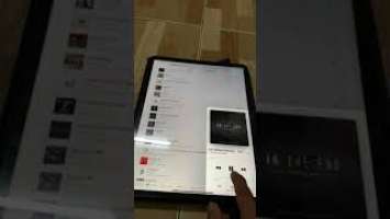Bose soundock 10 vs Denon home 350 Diy sound test