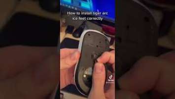 Tiger ice feet installation gone wild #shorts