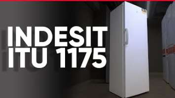 Обзор морозильной камеры INDESIT ITU 1175
