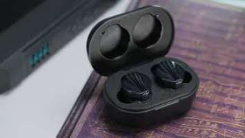 FiiO FW5 (By: 乐享派)