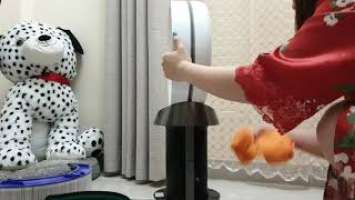 Dyson Pure Cool cleaning : Air Purifier Hepa Filter