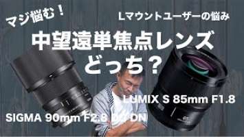 【マジで悩む】中望遠単焦点レンズはSIGMA 90mm F2.8 DG DNとLUMIX S 85mm F1.8どっち？【Lマウントユーザー】