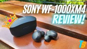 Why the Sony WF-1000XM4 is 'STILL' the best ANC earbuds of 2022!