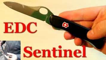 Victorinox Sentinel One Hand. Толерантный городской EDC нож Клипит