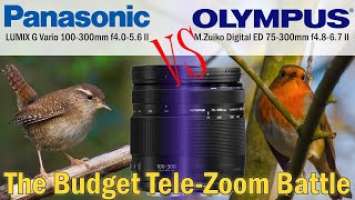 Micro Four Thirds budget superteles: Olympus Zuiko 75-300 II vs Panasonic Lumix 100-300 Power OIS