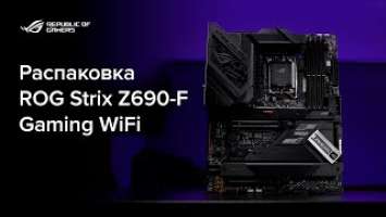 Гейминг на новом уровне \ Распаковка ROG Strix Z690-F Gaming WiFi