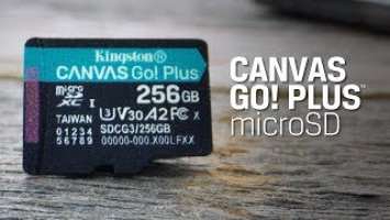 Class 10 microSD Card - V30, U3, A2 - Canvas Go! Plus microSD - Kingston Technology