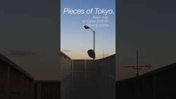 Pieces of Tokyo.  Tokyo snap w/ Canon EOS RP + 28mm f2.8 STM #photography #canon #eosrp #snap
