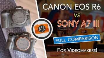 Canon EOS R6 vs Sony A7 III Full Comparison, Part 2: All About Video