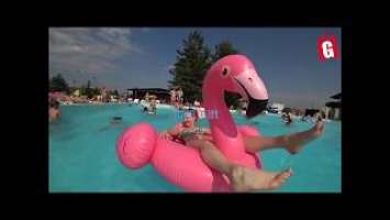 Pelampung renang Pink Flamingo Ride On Floaties INTEX 57558