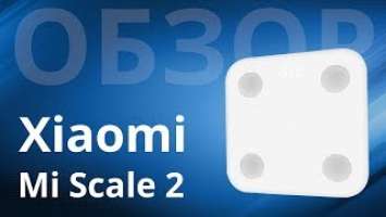 Обзор Xiaomi Mi body composition Scale 2, точно умные? Что умеют?