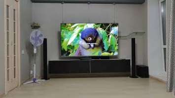 Почему не стоит покупать телевизор Xiaomi Mi TV Q1 с диагональю 75 дюймов.