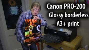 Canon Pixma PRO-200 glossy borderless A3+ (13" x 19") print