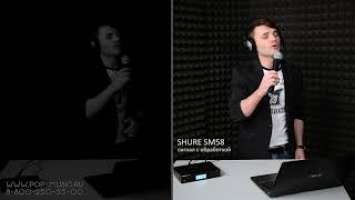 Радиосистемы SHURE BLX24E/PG58, BLX24RE/SM58, BLX1288E/SM58,  BLX288E/SM58