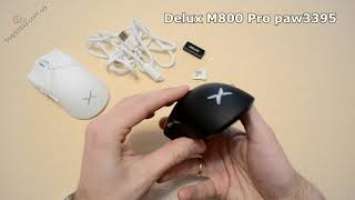  Распаковка ️ Мышка Delux m800 Pro paw3395  249