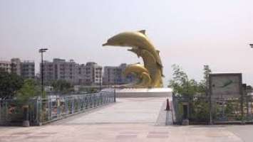 Sony RX100 VI 4K Video: Visiting the Golden Dolphins