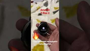 Подключение нагрудника к Amazfit T-Rex 2