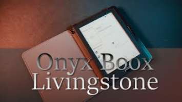 Обзор электронной книги Onyx Boox Livingstone