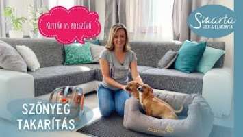 Szőnyegtakarítás I Porszívó teszt: Thomas Aqua+ Pet and Family
