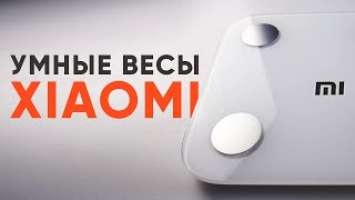 Xiaomi Mi Body Composition Scale 2  Умные весы, которые знают о вас ВСЁ!