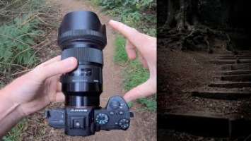 Sigma 50mm f1.4