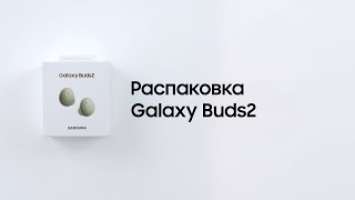 Galaxy Buds2 | Официальная распаковка | Samsung