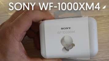 Sony WF-1000XM4: The King of ANC Earbuds? Review and call quality tests