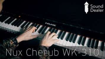 Sound Dealer - Nux Cherub WK-310