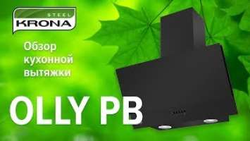 Обзор наклонной вытяжки Olly PB на 60 см от немецкого бренда KRONA