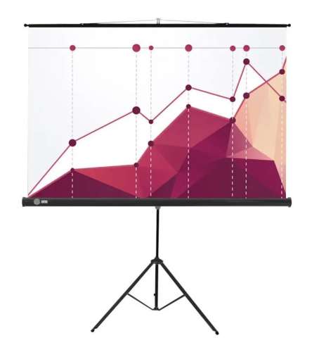 Экран Cactus Triscreen CS-PST-180x180,  180х180 см, 1:1,  напольный черный