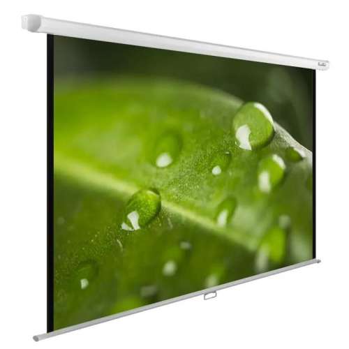 Экран Cactus WallExpert CS-PSWE-200x150-WT,  200х150 см, 4:3,  настенно-потолочный