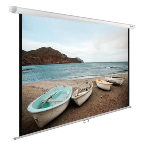 Экран Cactus WallExpert CS-PSWE-220x138-WT,  220х138 см, 16:10,  настенно-потолочный белый