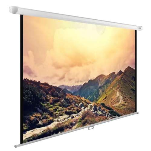 Экран Cactus WallExpert CS-PSWE-240x180-WT,  240х180 см, 4:3,  настенно-потолочный