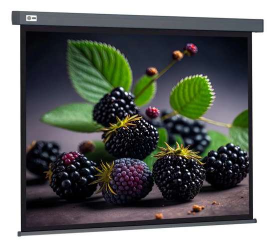 Экран Cactus Wallscreen CS-PSW-127X127-SG,  127х127 см, 1:1,  настенно-потолочный серый