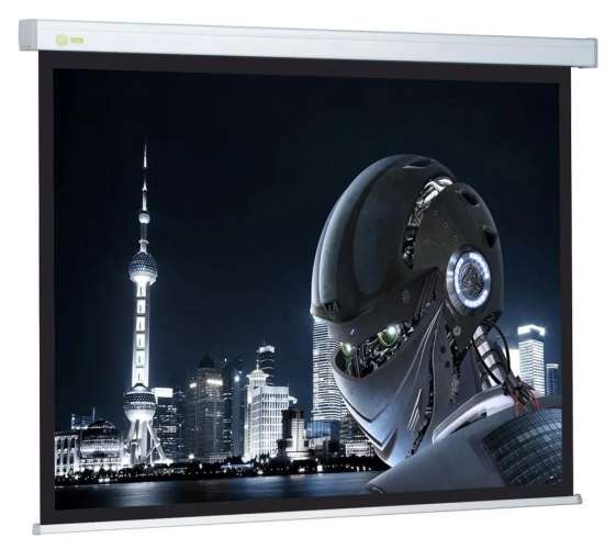 Экран Cactus Wallscreen CS-PSW-128x170,  170.7х128 см, 4:3,  настенно-потолочный белый