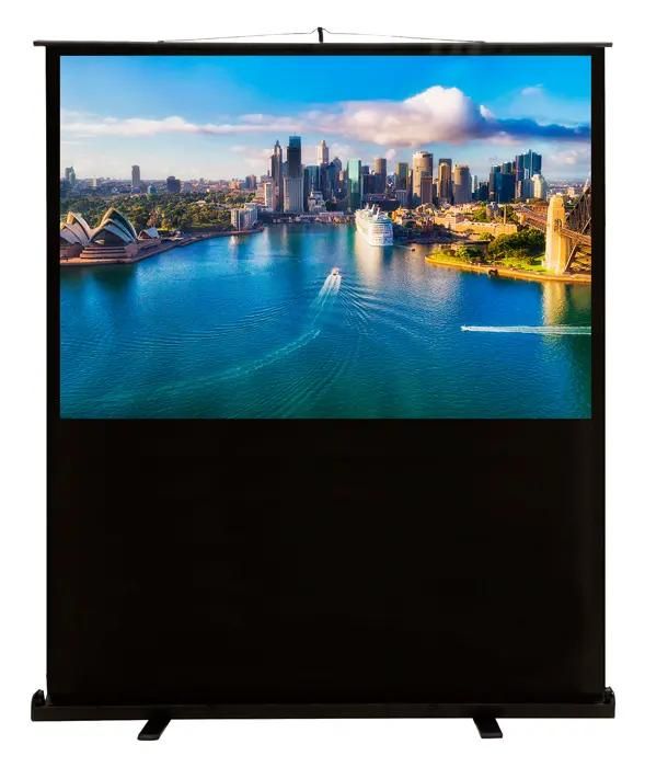 Экран Cactus FloorCompactExpert CS-PSFLCE-160X120,  160х120 см, 4:3,  напольный
