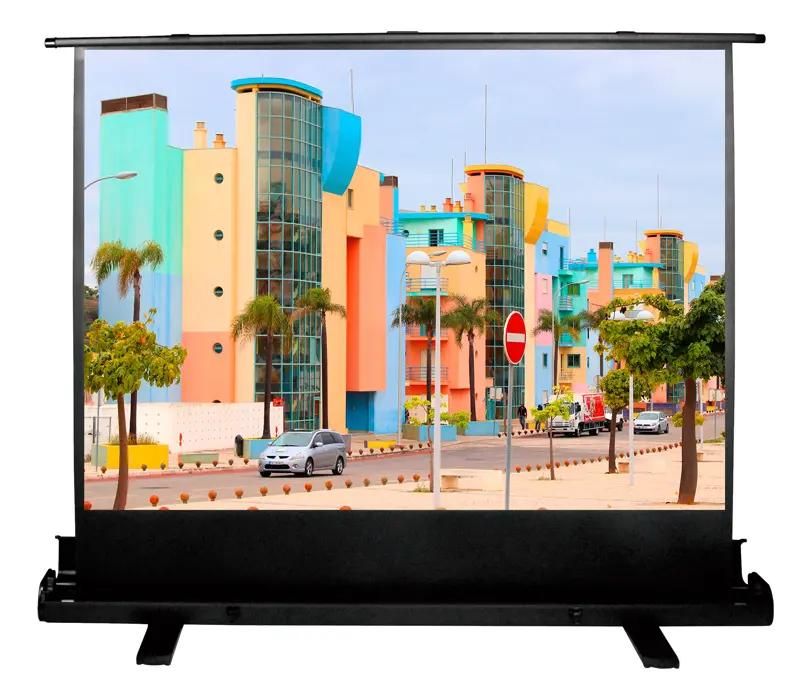 Экран Cactus FloorExpert CS-PSFLE-160X120,  160х120 см, 4:3,  напольный