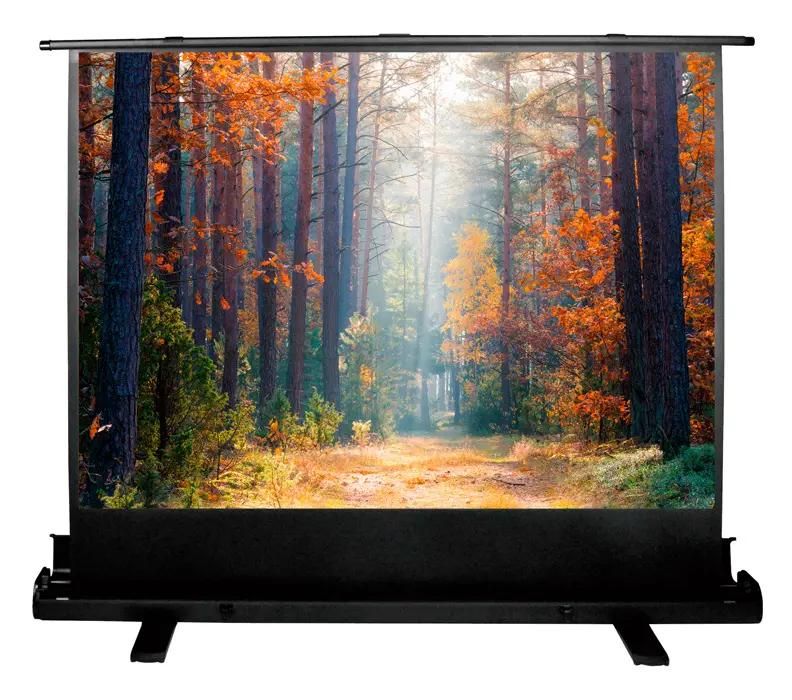 Экран Cactus FloorExpert CS-PSFLE-180X135,  180х135 см, 4:3,  напольный