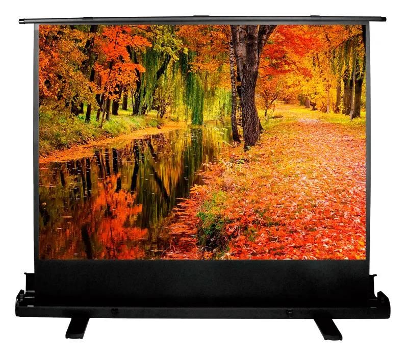 Экран Cactus FloorExpert CS-PSFLE-200X150,  200х150 см, 4:3,  напольный