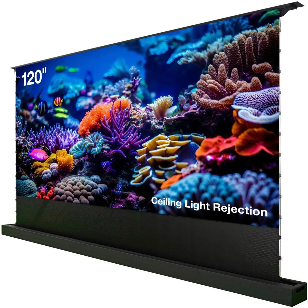 Экран Cactus FloorRising CS-PSFRCLR-263X148,  263х148 см, 16:9,  напольный черный