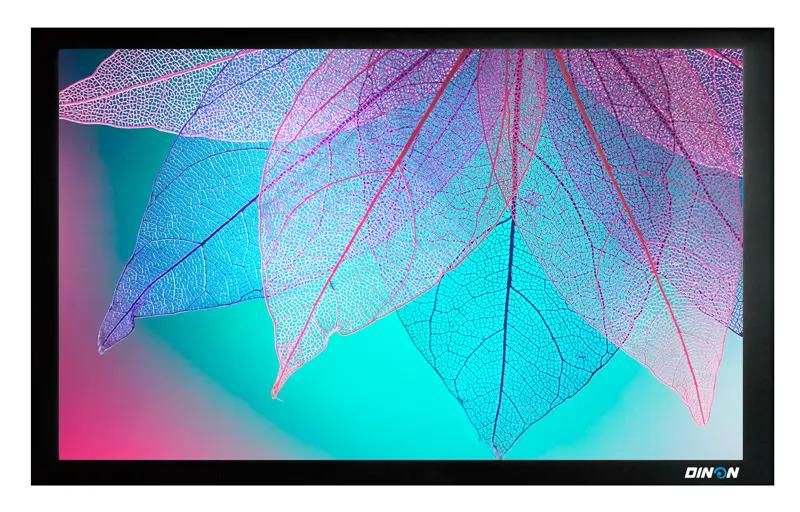 Экран Cactus FrameExpert CS-PSFRE-220X124,  220х124 см, 16:9,  настенный