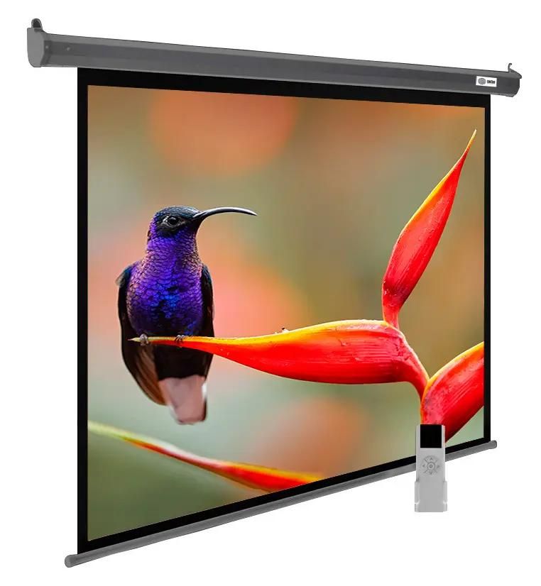 Экран Cactus SIlverMotoExpert CS-PSSME-220X138-DG,  220х138 см, 16:10,  настенно-потолочный темно-серый