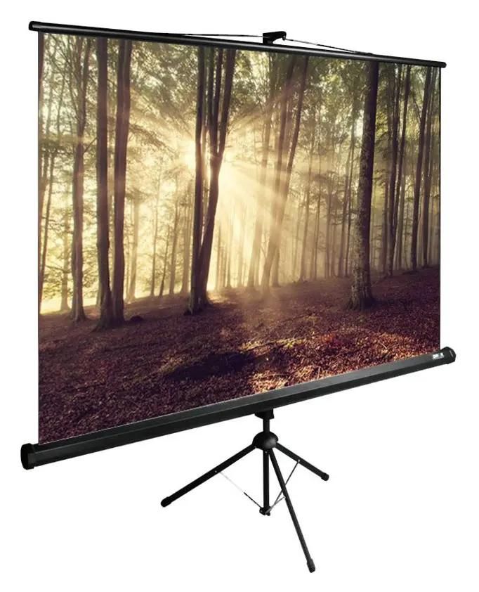 Экран Cactus TriExpert CS-PSTE-180x135-BK,  180х135 см, 4:3,  напольный черный