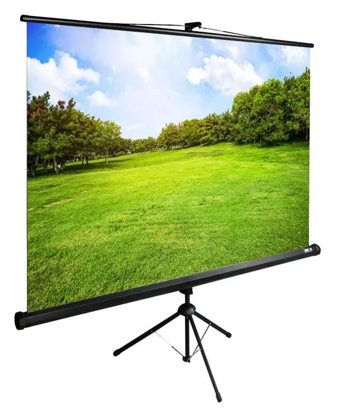 Экран Cactus TriExpert CS-PSTE-200x150-BK,  200х150 см, 4:3,  напольный черный