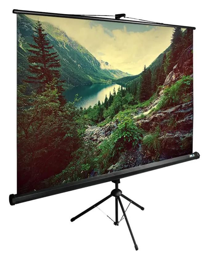 Экран Cactus TriExpert CS-PSTE-220x220-BK,  220х220 см, 1:1,  напольный черный