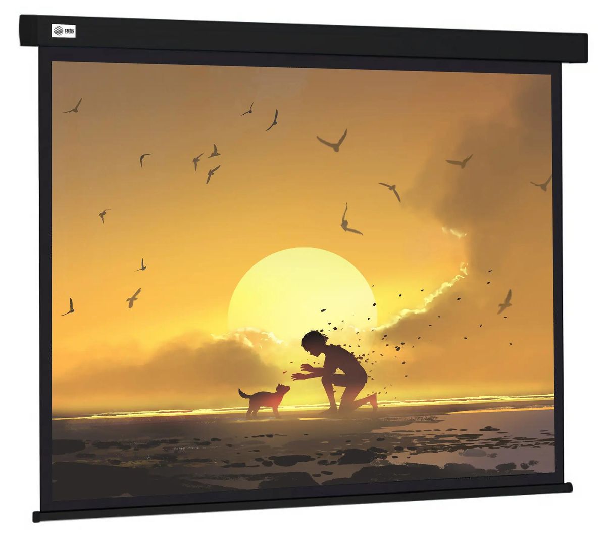Экран Cactus Wallscreen CS-PSW-150X150-BK,  150х150 см, 1:1,  настенно-потолочный черный